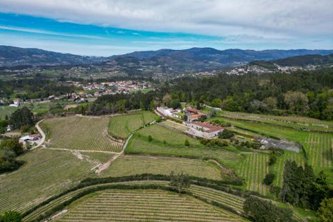 Farm i Amares, Braga, Amares - € 7.250.000 | Ref: 64572 - foto 14