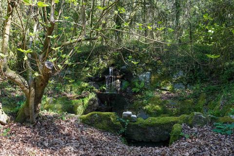 Farm i Amares, Braga, Amares - € 7.250.000 | Ref: 64572 - foto 15