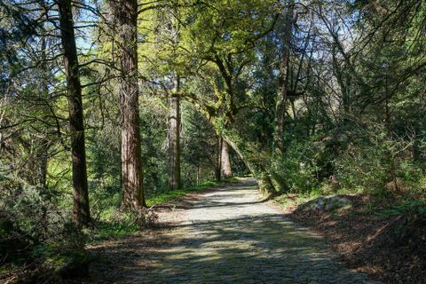 Farm i Amares, Braga, Amares - € 7.250.000 | Ref: 64572 - foto 16