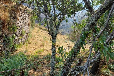 Byhus i Arganil, Coimbra, Arganil - € 47.500 | Ref: 65826 - foto 10