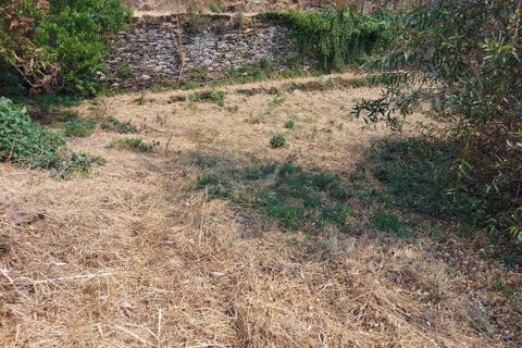 Byhus i Arganil, Coimbra, Arganil - € 47.500 | Ref: 65826 - foto 11