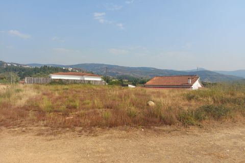 Helårsgrund i Arganil, Coimbra, Arganil - € 27.500 | Ref: 65906 - foto 5