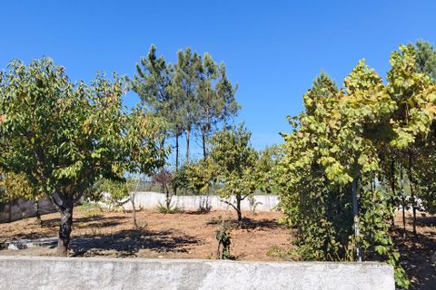 Byhus i Arganil, Coimbra, Arganil - € 360.000 | Ref: 66275 - foto 32