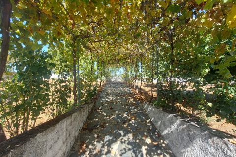 Byhus i Arganil, Coimbra, Arganil - € 360.000 | Ref: 66275 - foto 33