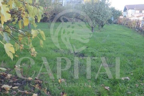 Byhus i Tabuaco, Viseu, Tabuaco - € 170.000 | Ref: 70117 - foto 7