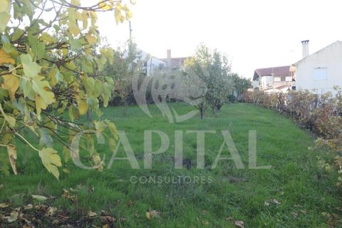 Byhus i Tabuaco, Viseu, Tabuaco - € 170.000 | Ref: 70117 - foto 8