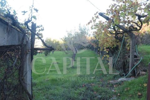 Byhus i Tabuaco, Viseu, Tabuaco - € 170.000 | Ref: 70117 - foto 12