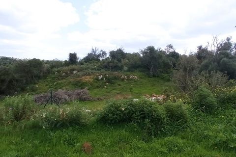 Farm i Albufeira, Faro, Albufeira - € 7.500.000 | Ref: 52078 - foto 2