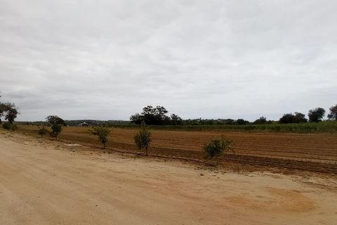Farm i Albufeira, Faro, Albufeira - € 7.500.000 | Ref: 52078 - foto 3