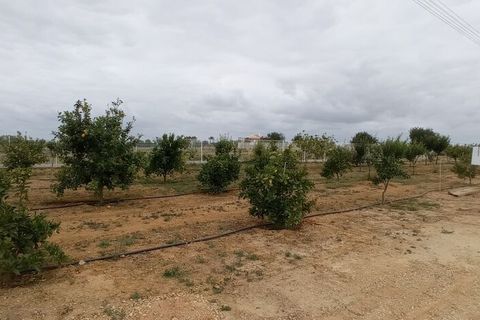Farm i Albufeira, Faro, Albufeira - € 7.500.000 | Ref: 52078 - foto 4