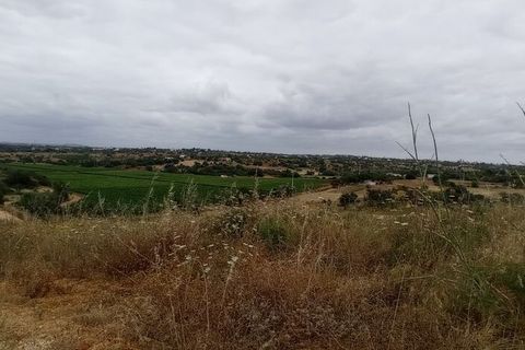 Farm i Albufeira, Faro, Albufeira - € 7.500.000 | Ref: 52078 - foto 6
