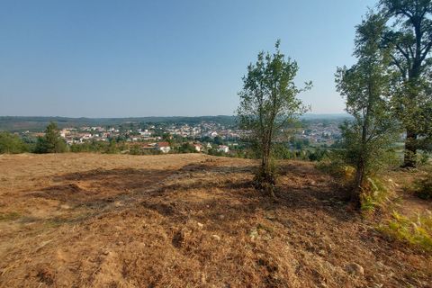 Grond in Arganil, Coimbra, Arganil - € 27.500 | Ref: 65850 - foto 3