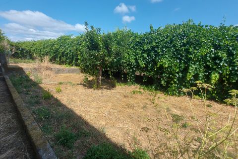 Byhus i Arganil, Coimbra, Arganil - € 135.000 | Ref: 65801 - foto 5
