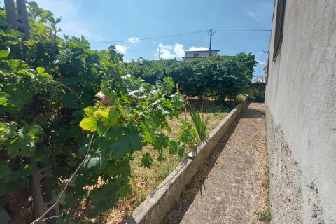 Byhus i Arganil, Coimbra, Arganil - € 135.000 | Ref: 65801 - foto 12