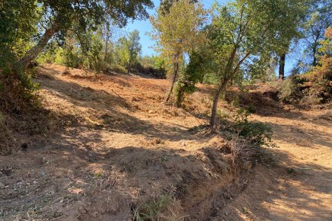 Terra a Arganil, Coimbra, Arganil - € 22.500 | Ref: 65847 - foto 2