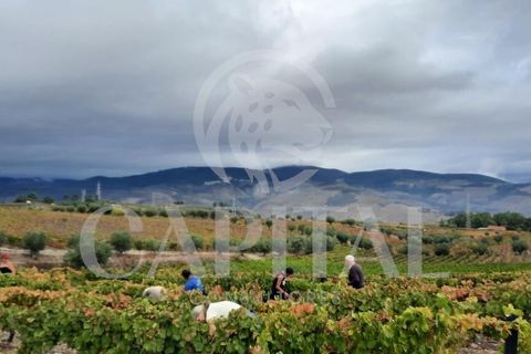 Helårsgrund i Tabuaco, Viseu, Tabuaco - € 30.000 | Ref: 70114 - foto 2