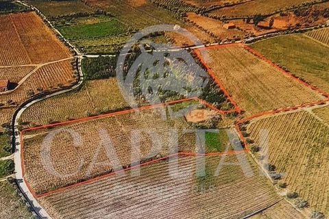 Helårsgrund i Tabuaco, Viseu, Tabuaco - € 30.000 | Ref: 70114 - foto 5