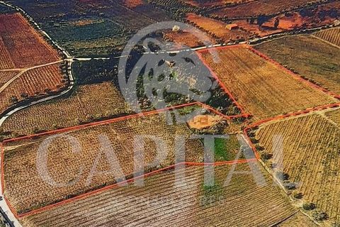 Helårsgrund i Tabuaco, Viseu, Tabuaco - € 30.000 | Ref: 70114 - foto 6