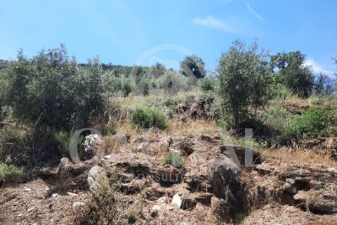 Helårsgrund i Tabuaco, Viseu, Tabuaco - € 45.000 | Ref: 70121 - foto 1