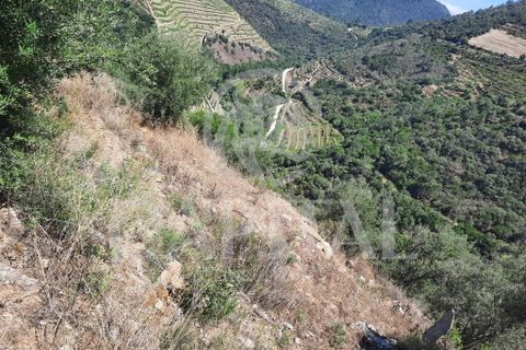 Helårsgrund i Tabuaco, Viseu, Tabuaco - € 45.000 | Ref: 70121 - foto 3
