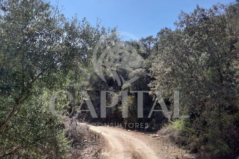 Helårsgrund i Tabuaco, Viseu, Tabuaco - € 45.000 | Ref: 70121 - foto 7