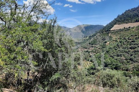 Helårsgrund i Tabuaco, Viseu, Tabuaco - € 45.000 | Ref: 70121 - foto 9