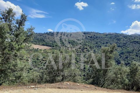 Helårsgrund i Tabuaco, Viseu, Tabuaco - € 45.000 | Ref: 70121 - foto 14