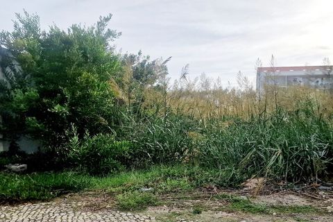 Helårsgrund i Torres Vedras, Lisbon, Torres Vedras - € 1.400.000 | Ref: 58006 - foto 3
