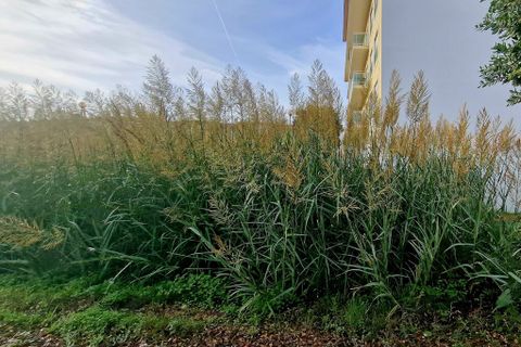 Helårsgrund i Torres Vedras, Lisbon, Torres Vedras - € 1.400.000 | Ref: 58006 - foto 8