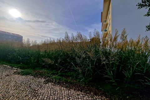 Helårsgrund i Torres Vedras, Lisbon, Torres Vedras - € 1.400.000 | Ref: 58006 - foto 9