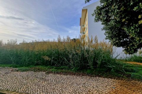 Helårsgrund i Torres Vedras, Lisbon, Torres Vedras - € 1.400.000 | Ref: 58006 - foto 11