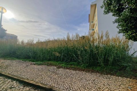 Helårsgrund i Torres Vedras, Lisbon, Torres Vedras - € 1.400.000 | Ref: 58006 - foto 12