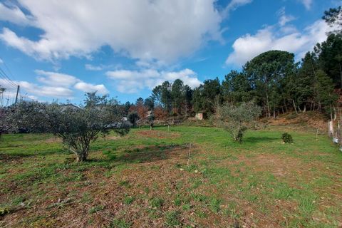 Tomt i Arganil, Coimbra, Arganil - € 55 000 | Ref: 61493 - foto 2