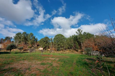 Tomt i Arganil, Coimbra, Arganil - € 55 000 | Ref: 61493 - foto 3