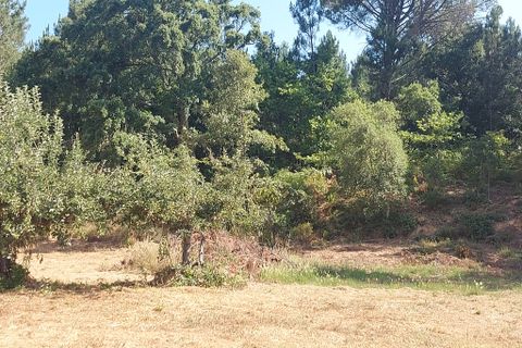 Tomt i Arganil, Coimbra, Arganil - € 55 000 | Ref: 61493 - foto 5