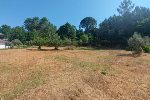 Tomt i Arganil, Coimbra, Arganil - € 55 000 | Ref: 61493 - foto 6