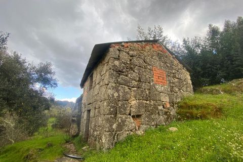 Farm i Tabua, Coimbra, Tabua - € 69.500 | Ref: 64275 - foto 3