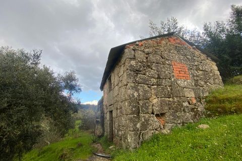 Farm i Tabua, Coimbra, Tabua - € 69.500 | Ref: 64275 - foto 4