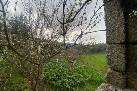 Farm i Tabua, Coimbra, Tabua - € 69.500 | Ref: 64275 - foto 5