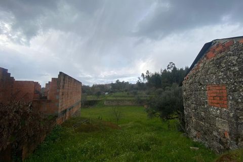 Farm i Tabua, Coimbra, Tabua - € 69.500 | Ref: 64275 - foto 7