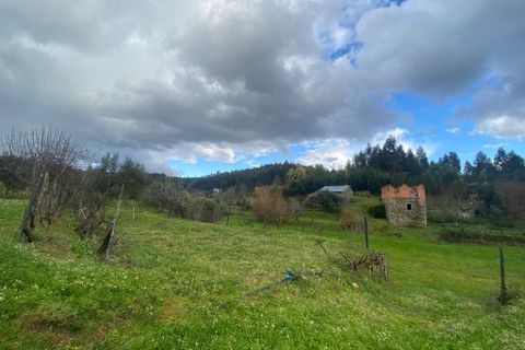 Farm i Tabua, Coimbra, Tabua - € 69.500 | Ref: 64275 - foto 8