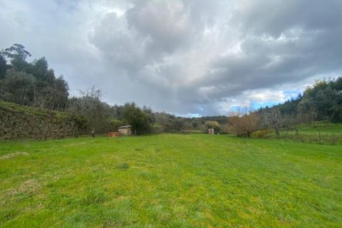 Farm i Tabua, Coimbra, Tabua - € 69.500 | Ref: 64275 - foto 9