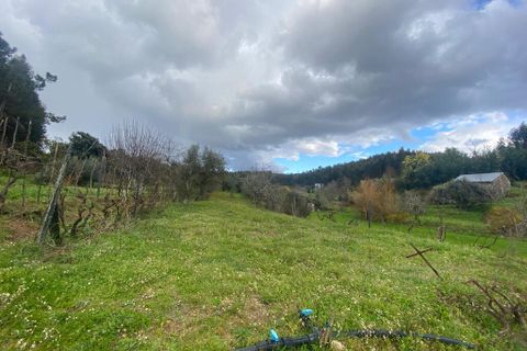 Farm i Tabua, Coimbra, Tabua - € 69.500 | Ref: 64275 - foto 11