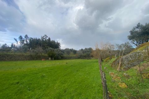 Farm i Tabua, Coimbra, Tabua - € 69.500 | Ref: 64275 - foto 12