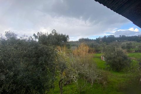 Farm i Tabua, Coimbra, Tabua - € 69.500 | Ref: 64275 - foto 15