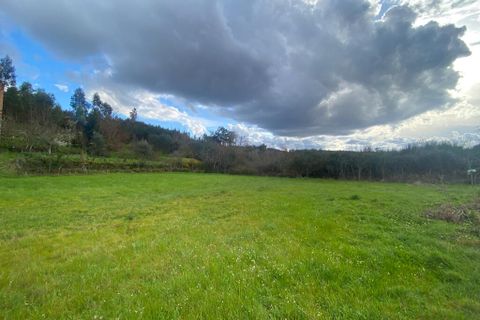 Farm i Tabua, Coimbra, Tabua - € 69.500 | Ref: 64275 - foto 16