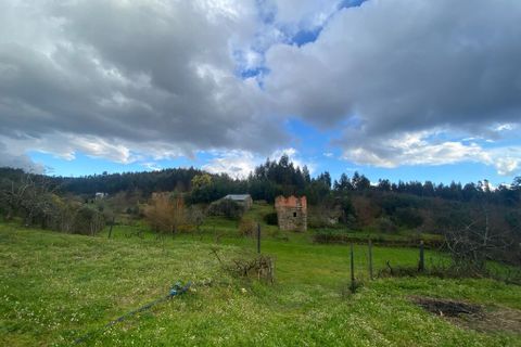 Farm i Tabua, Coimbra, Tabua - € 69.500 | Ref: 64275 - foto 18