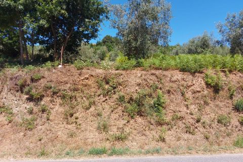 Helårsgrund i Arganil, Coimbra, Arganil - € 12.000 | Ref: 65797 - foto 2