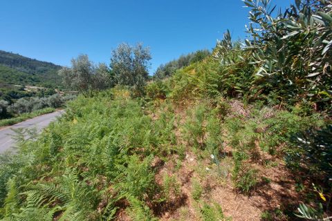 Helårsgrund i Arganil, Coimbra, Arganil - € 12.000 | Ref: 65797 - foto 4
