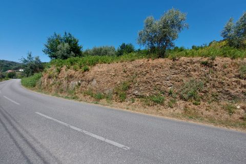 Helårsgrund i Arganil, Coimbra, Arganil - € 12.000 | Ref: 65797 - foto 5